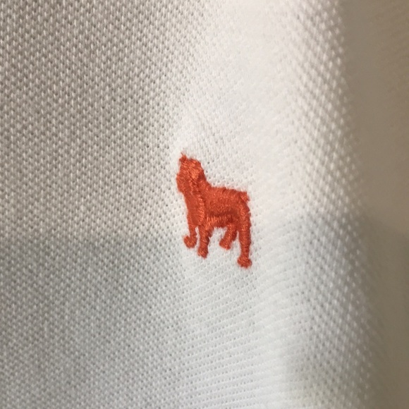 Aeropostale Button Up, Slum Fit Polo - Picture 2 of 5